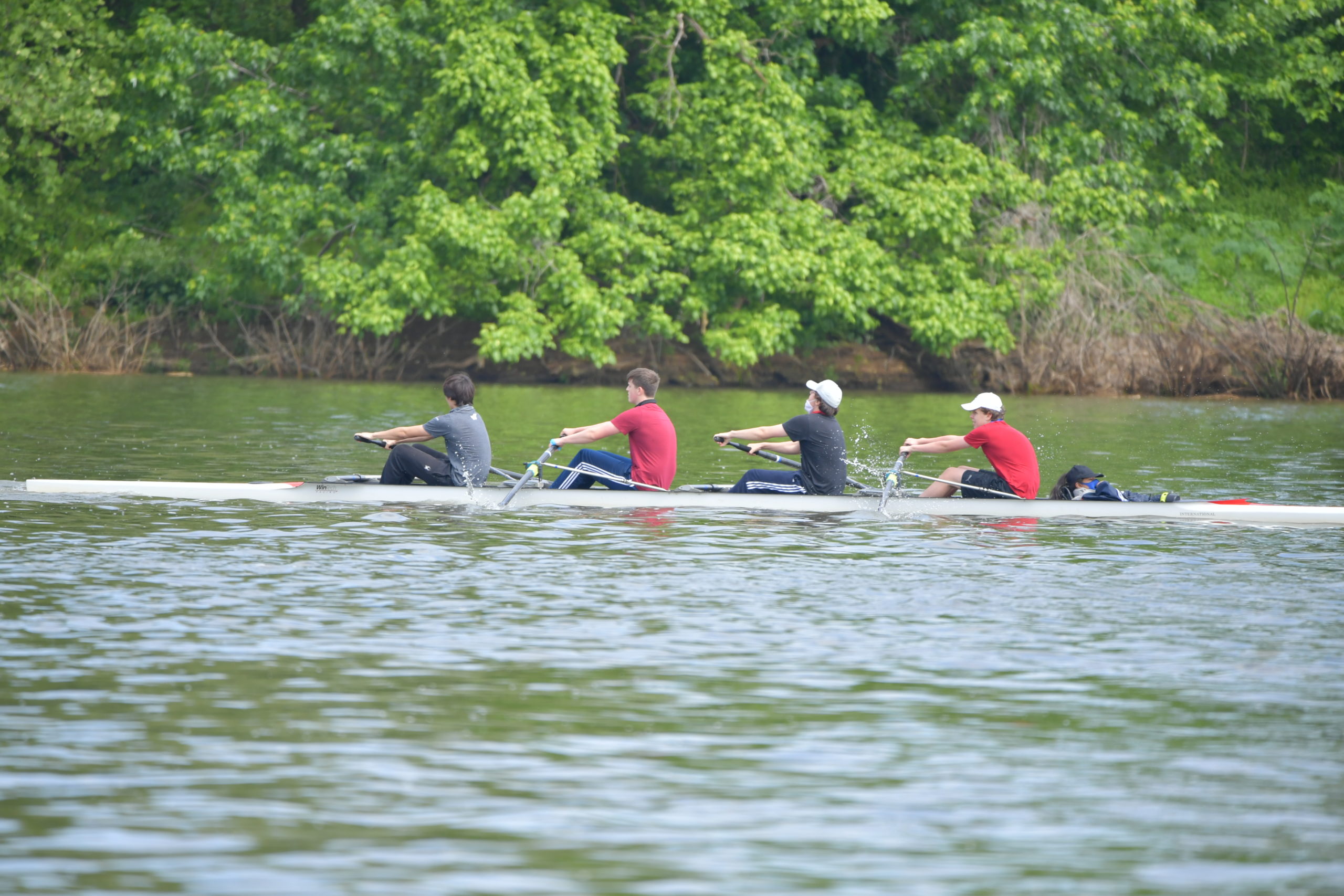 Four rowers using a racing shell and oars on the water